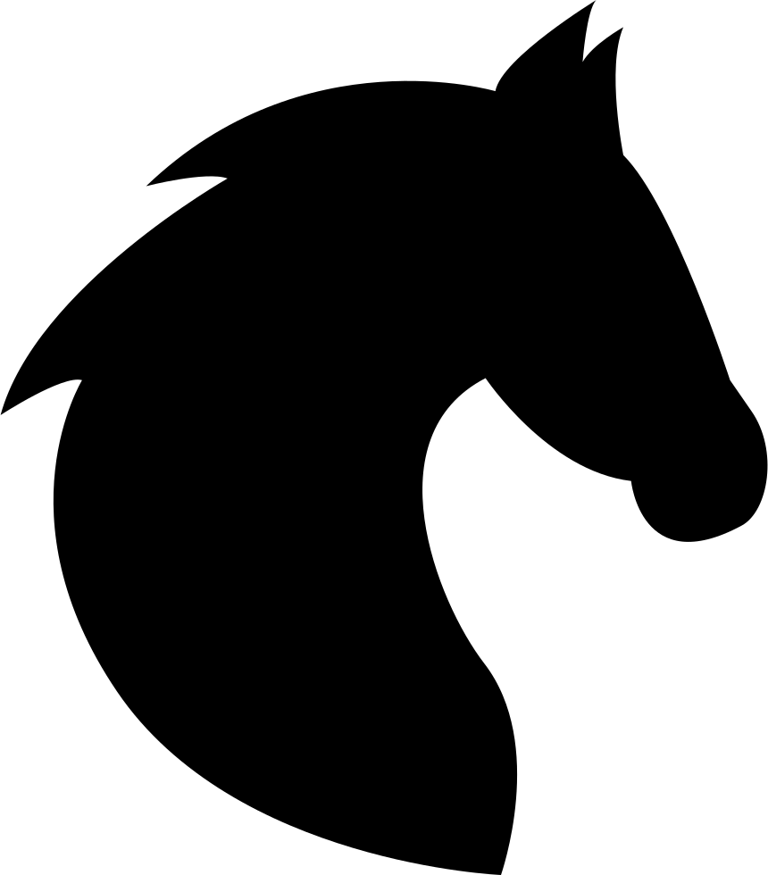 PVC_ICO